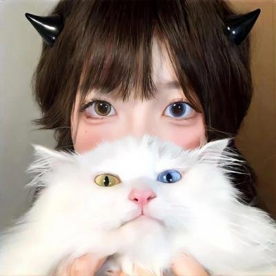 同路人